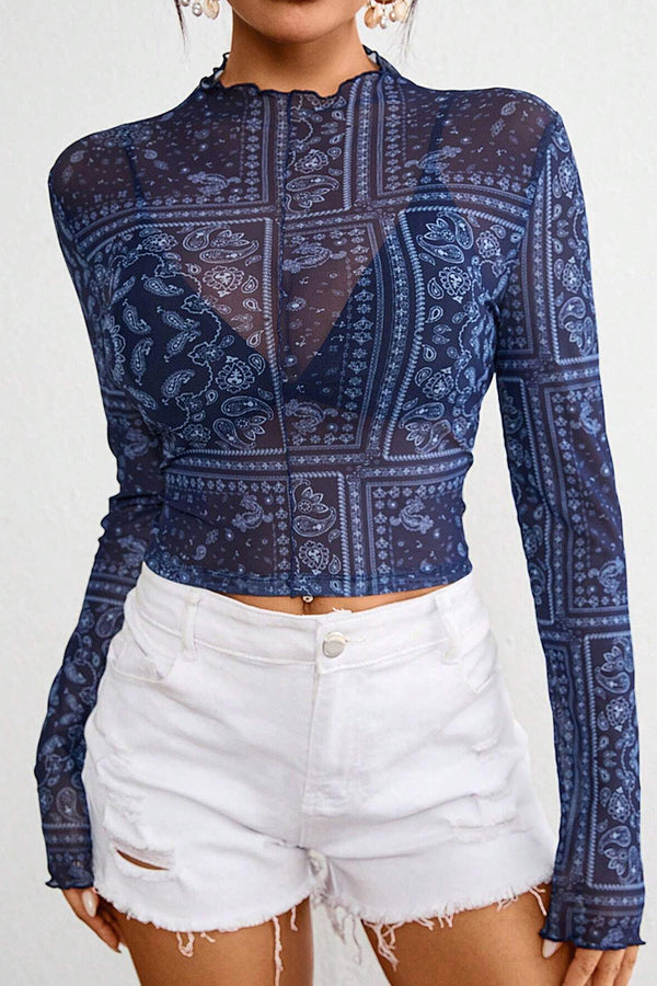 Paisley Print Mesh Long Sleeve Crop Top